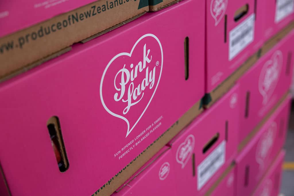 Bushel box in packhouse