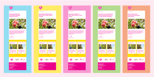 Pink Lady Newsletters